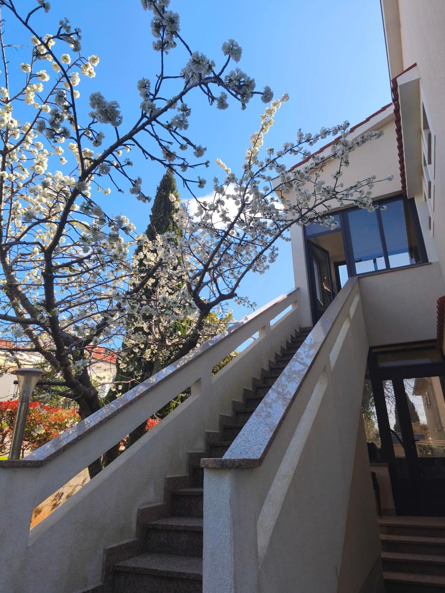 Apartmani Romana Пунат Экстерьер фото